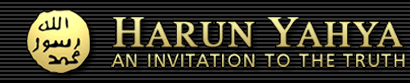 01banner1_hy.gif (11817 bytes)