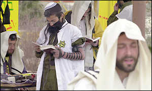 _685792_settler300.jpg (11806 bytes)