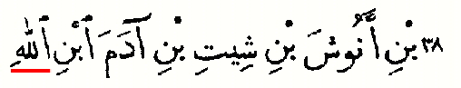 abib-04.jpg (43288 bytes)