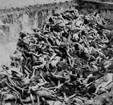 Dead bodies in a mass grave at Auschwitz
