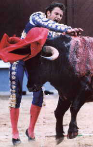 bullfight23.jpg (13089 bytes)
