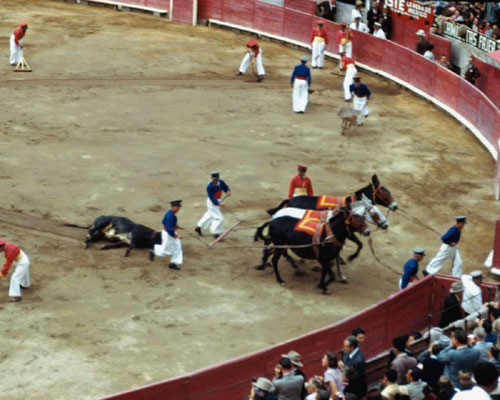 bullfight36.jpg (52982 bytes)
