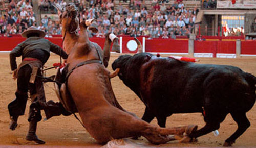 bullfight48.jpg (44991 bytes)