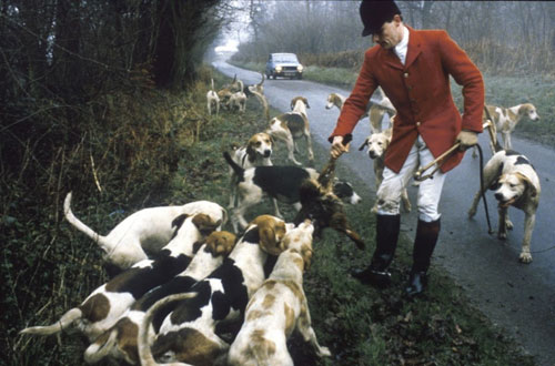 foxhunt5.jpg (48956 bytes)