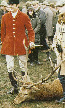 hunt.jpg (32378 bytes)