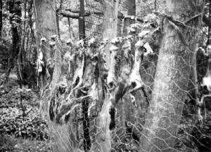 hunt2.jpg (24739 bytes)