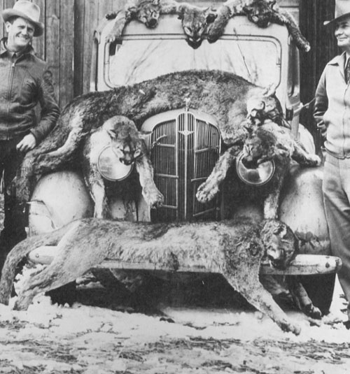 hunt28.jpg (71053 bytes)