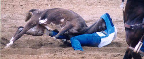 rodeo16.jpg (32818 bytes)