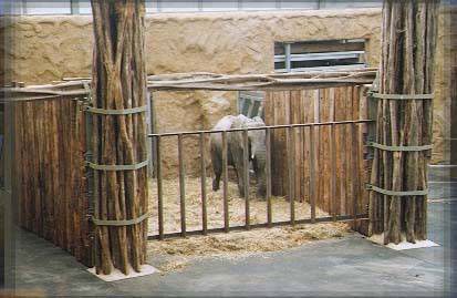 zoo.jpg (31121 bytes)