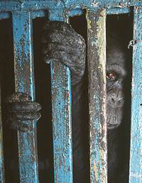 zoo25.jpg (17298 bytes)
